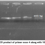 figure 2 apolipo