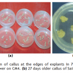 Figure 1(a) and 1(b)