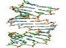 DNA bases