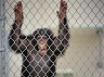 chimps