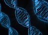 dna-163466_640