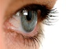 eye