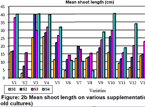 [] figure 2b