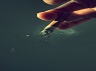 smoking