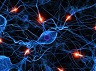 stemcellaction