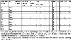 Table 2