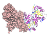 Malic-enzyme_2AW5