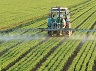 Herbicide-Image1