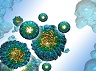 Molecular structure of protein Hemocyanin
