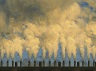 INDUSTRY