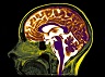 brain