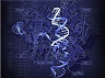 Cas9