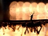 WEB_GettyImages-508992156