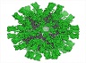 nano cages