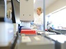synthesize genome