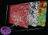 dna packing