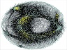 102916_omics_CAM