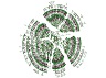 tree graph