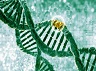 eye crispr