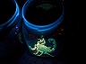 A Deathstalker scorpion sits in a jar illuminated by ultraviolet light